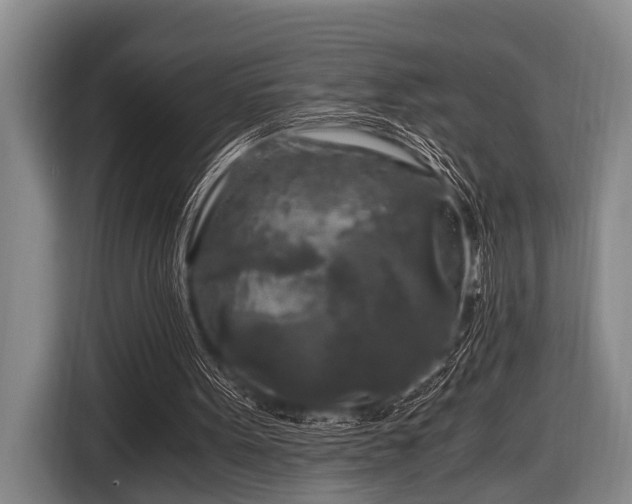 X0000116800099200912241209