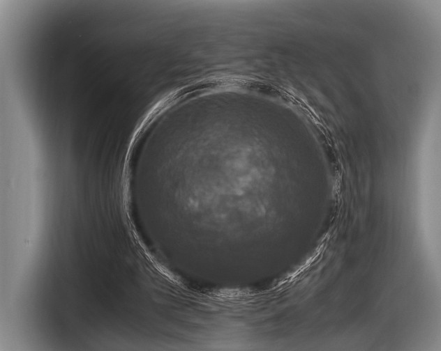 X0000116800101200912241209