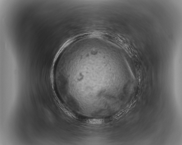 X0000116800102200912241209