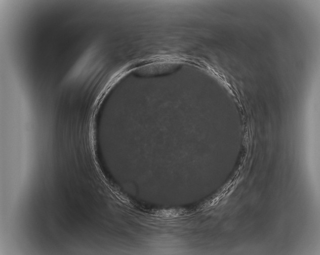 X0000116800103200912241209