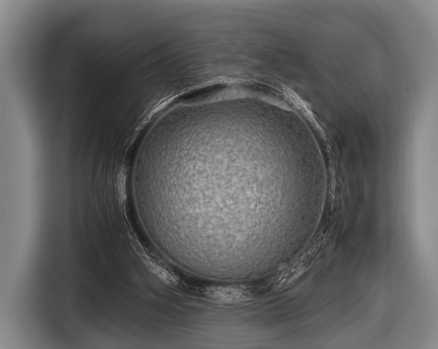 X0000116800106200912241209