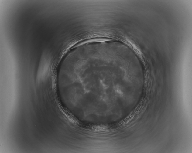 X0000116800107200912241209