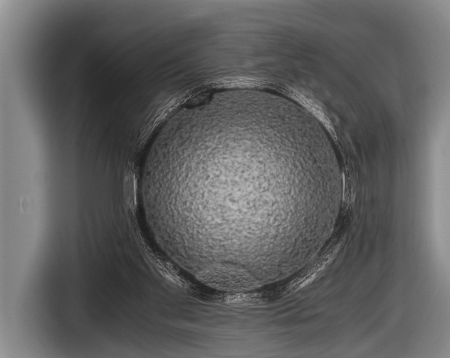 X0000116800109200912241209