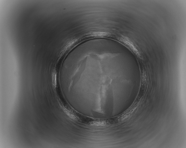 X0000116800110200912241209