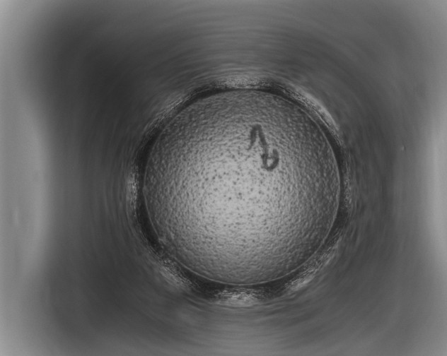 X0000116800113200912241209