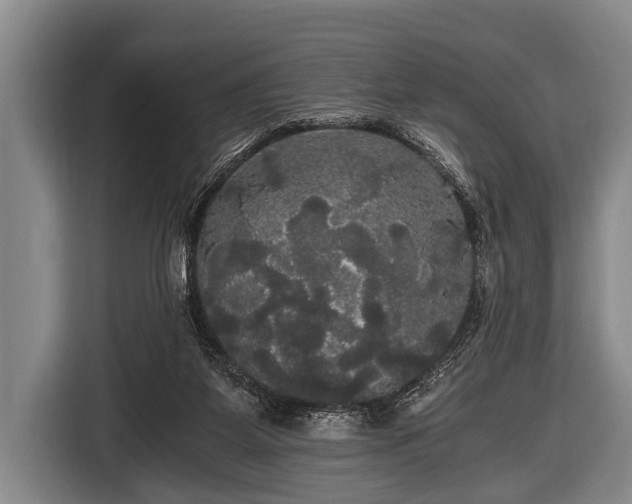 X0000116800115200912241209