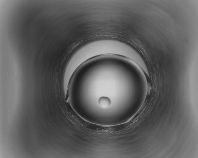 X0000116800116200912241209