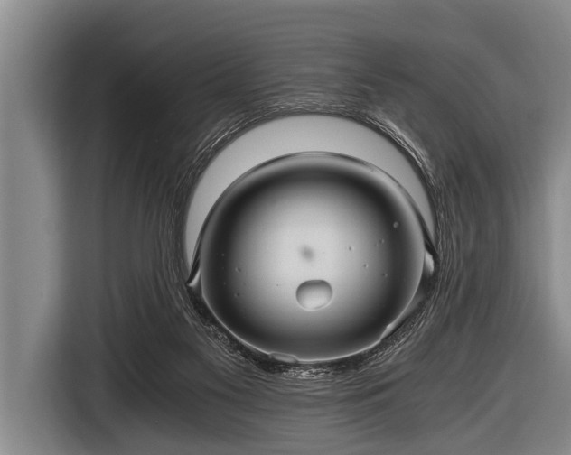 X0000116800117200912241209