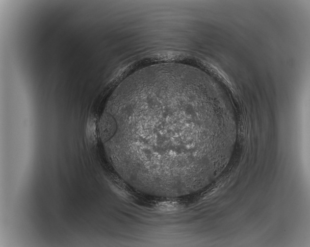 X0000116800119200912241209