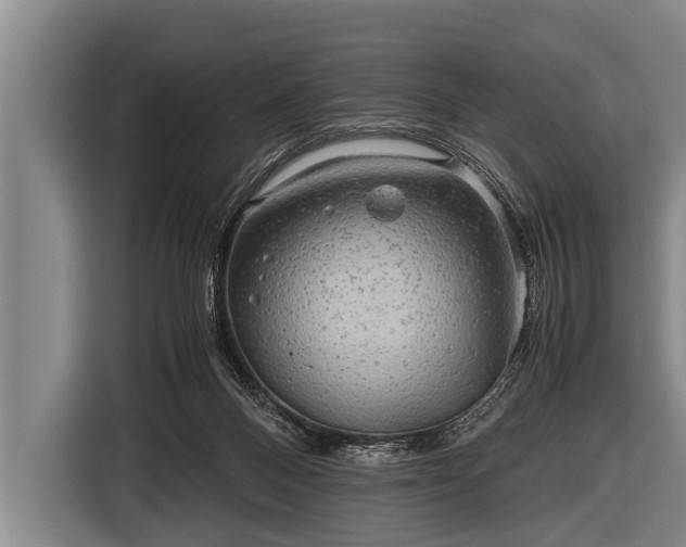 X0000116800120200912241209