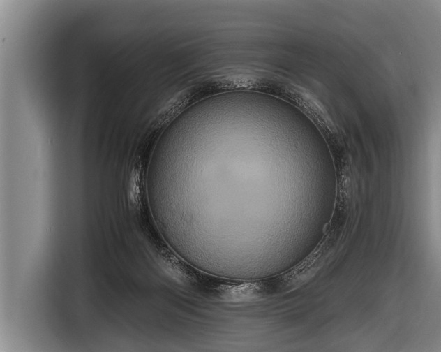 X0000116800122200912241209