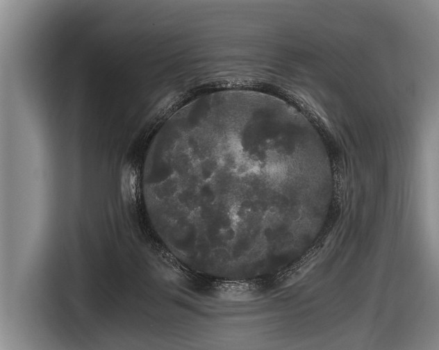 X0000116800123200912241209