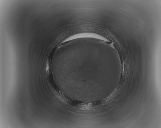 X0000116800124200912241209