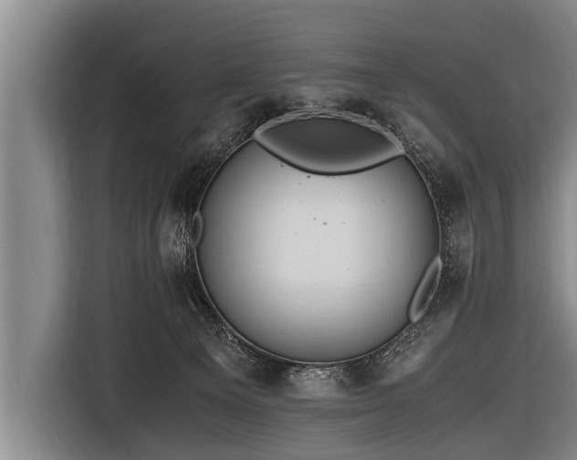 X0000116800129200912241209