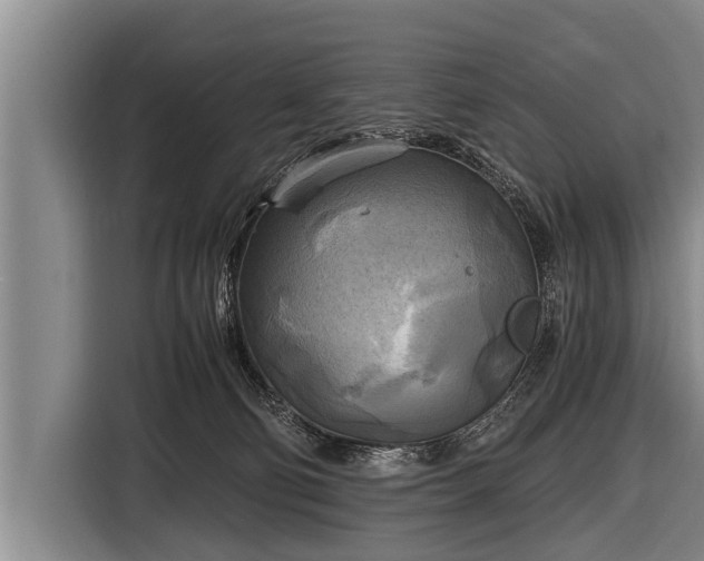 X0000116800130200912241209