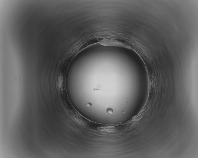 X0000116800132200912241209