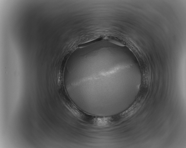 X0000116800134200912241209