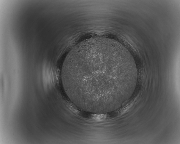X0000116800135200912241209