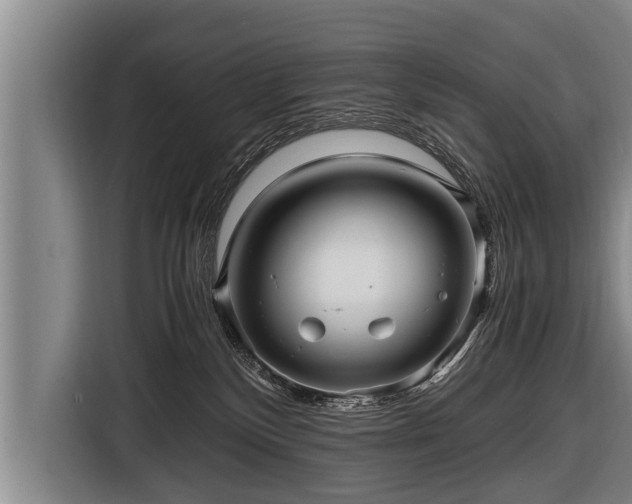 X0000116800136200912241209