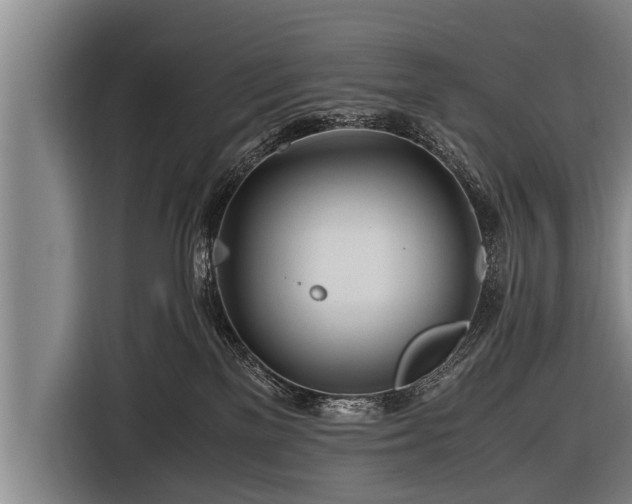 X0000116800137200912241208