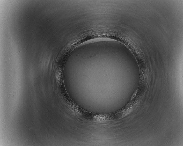 X0000116800139200912241208