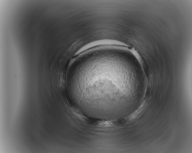 X0000116800140200912241208