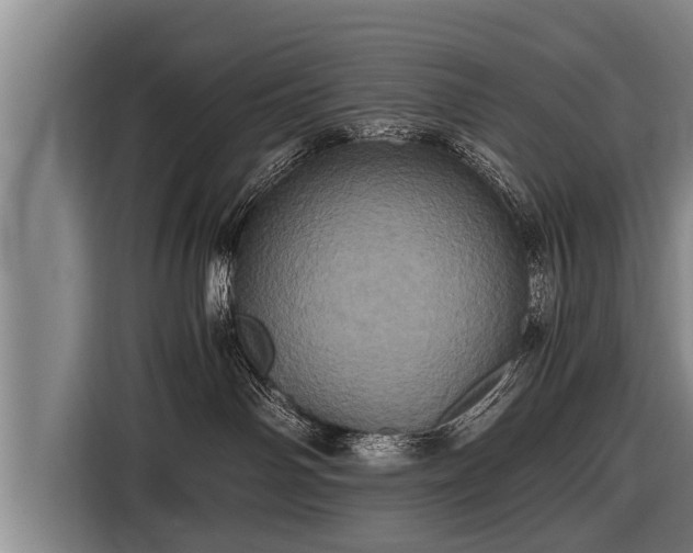 X0000116800142200912241208