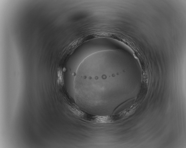 X0000116800143200912241208