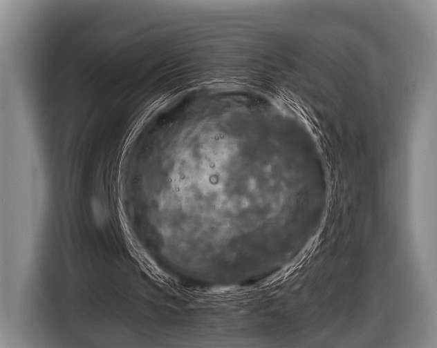 X0000116800145200912241208