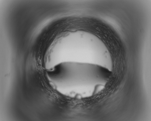 X0000116800146200912241208