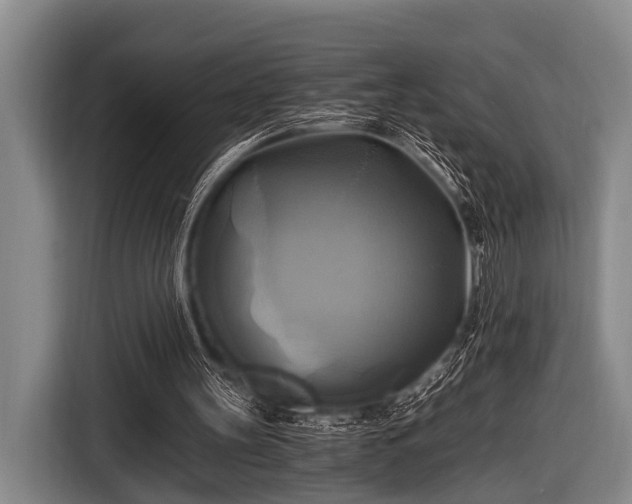 X0000116800147200912241208