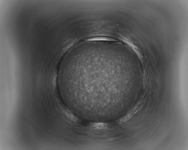 X0000116800153200912241208