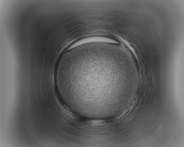 X0000116800154200912241208