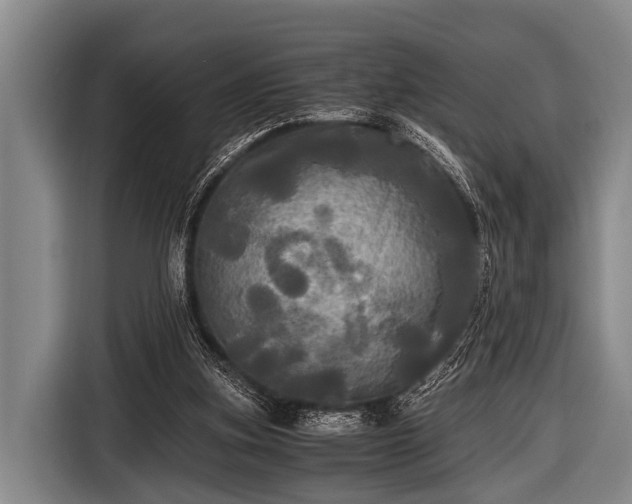 X0000116800155200912241208