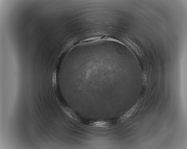 X0000116800158200912241208