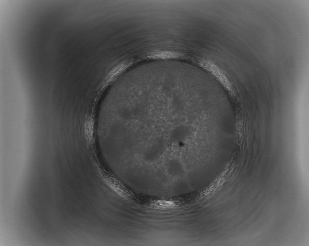 X0000116800159200912241208