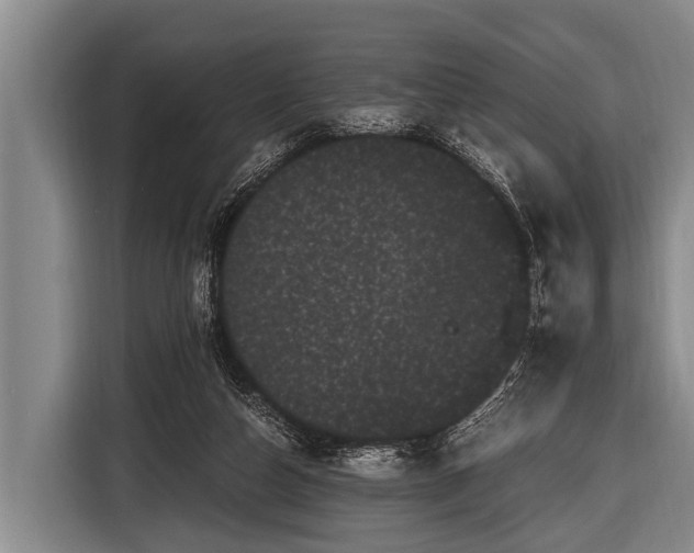 X0000116800162200912241208