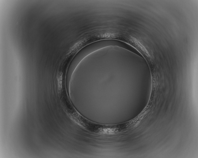 X0000116800163200912241208