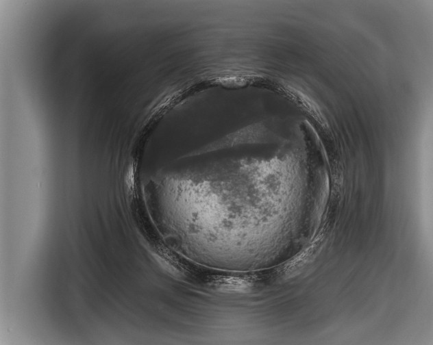 X0000116800166200912241208