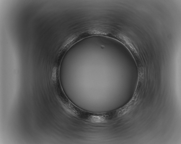 X0000116800167200912241208