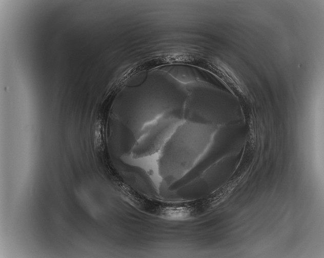 X0000116800169200912241208