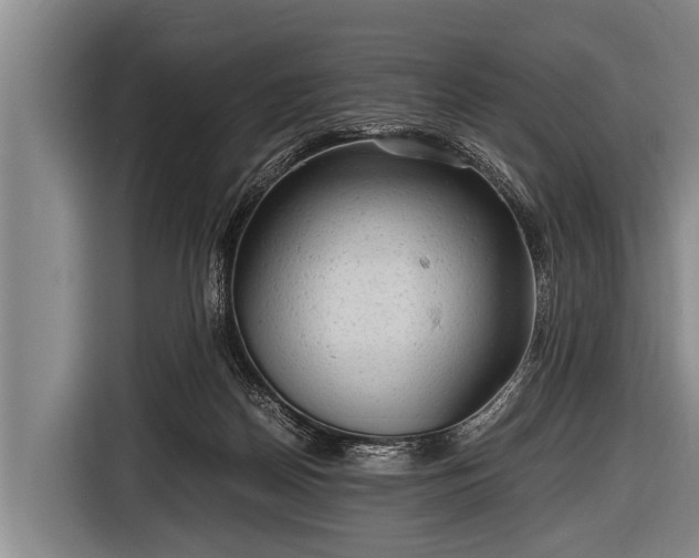 X0000116800170200912241208