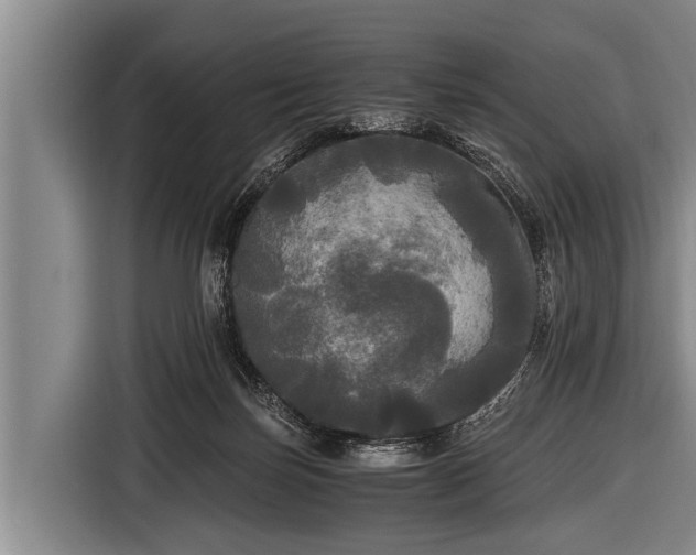 X0000116800171200912241208