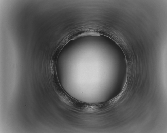 X0000116800174200912241208