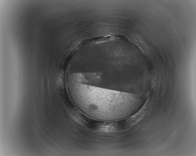 X0000116800175200912241208