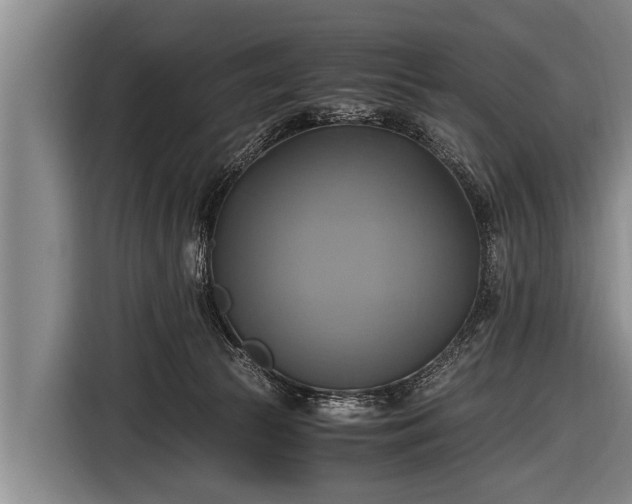 X0000116800177200912241208