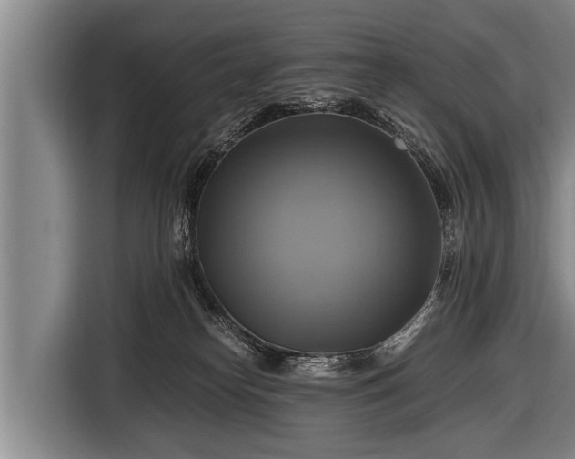 X0000116800182200912241208