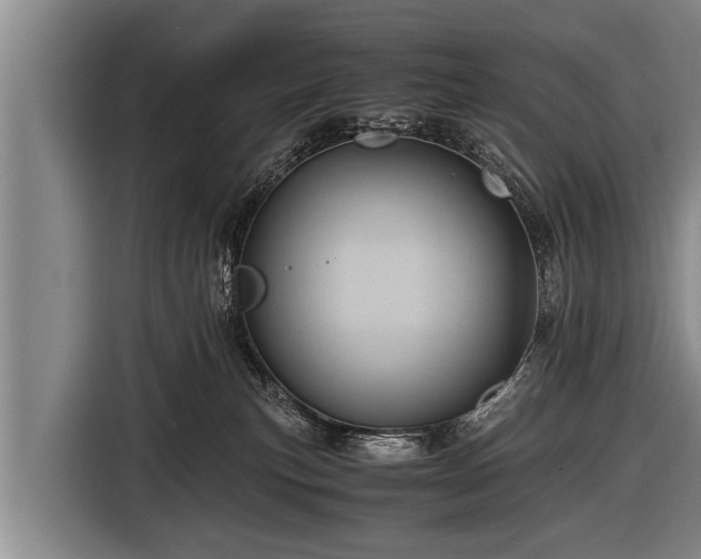 X0000116800183200912241208