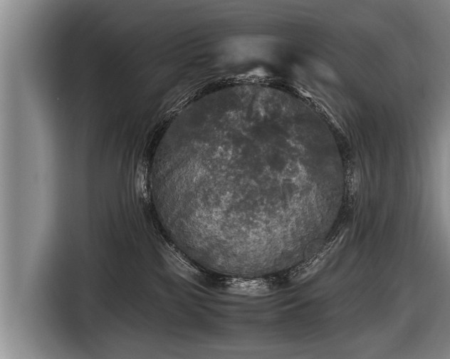 X0000116800185200912241208