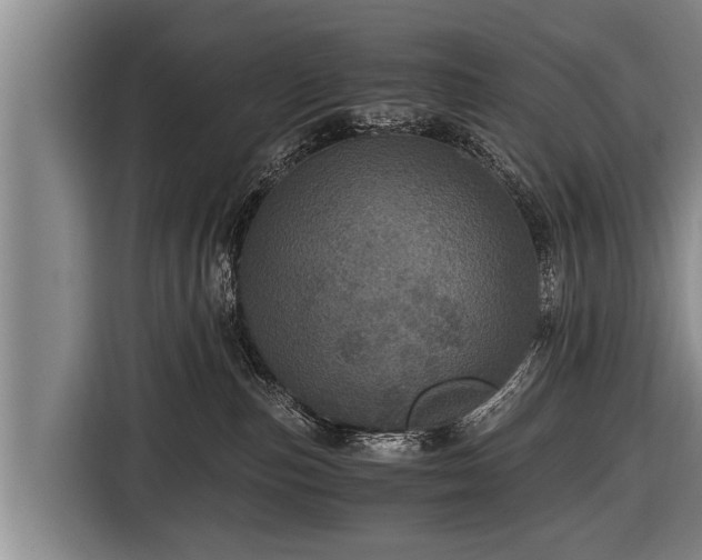 X0000116800187200912241208